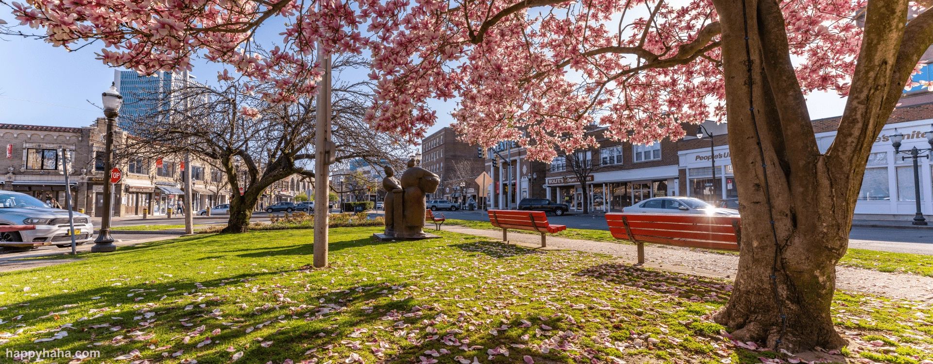 Stamford Day 2021 Celebrating Community History